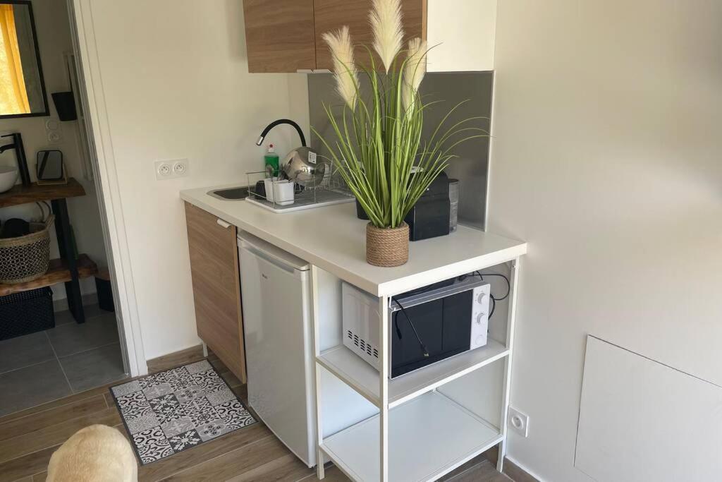 Studio Collobrieres Vue Sur Village מראה חיצוני תמונה
