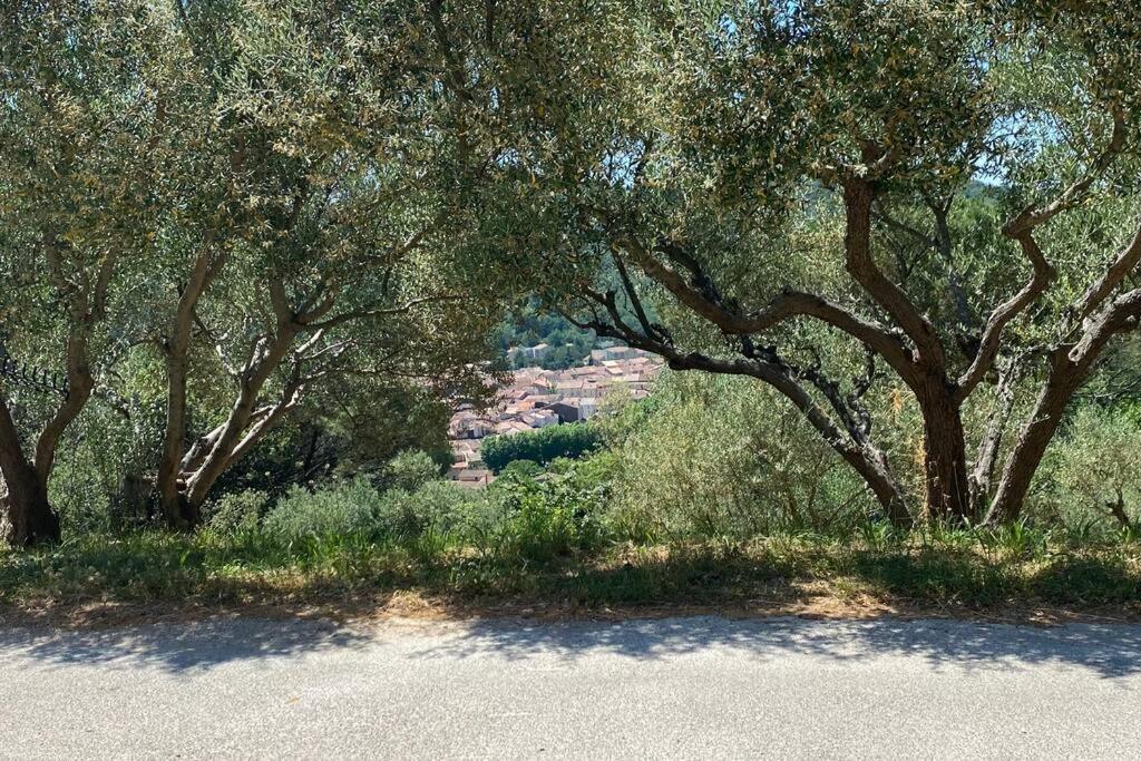 Studio Collobrieres Vue Sur Village מראה חיצוני תמונה